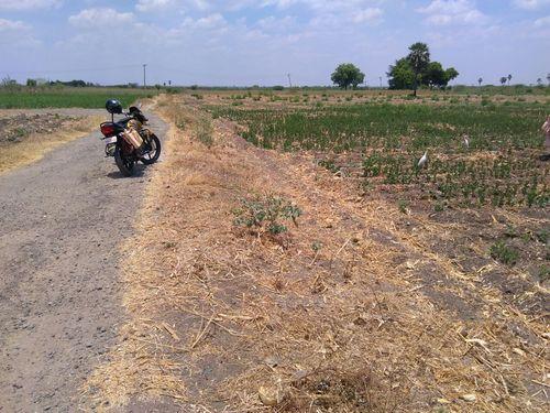 10-acres-land-in-sattur-agricultural-property-for-sale-500x500